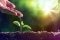 The picture shows the sun's rays and a hand dripping water onto a young plant, symbolising the production of DHW with a solar thermal system.